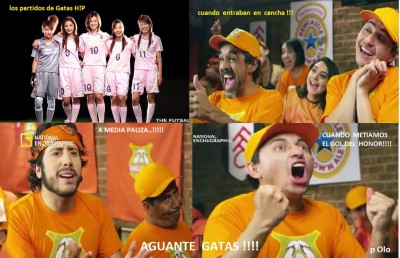 gatas meme .jpg